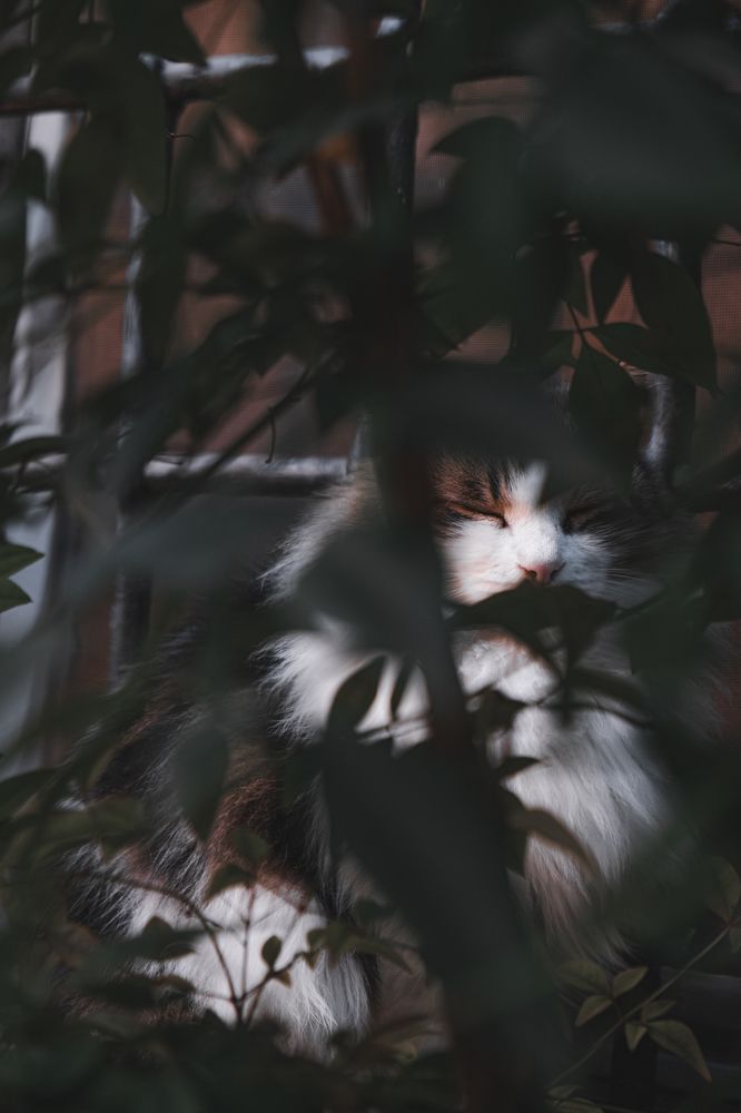 Photograph by Madalin Giurgescu