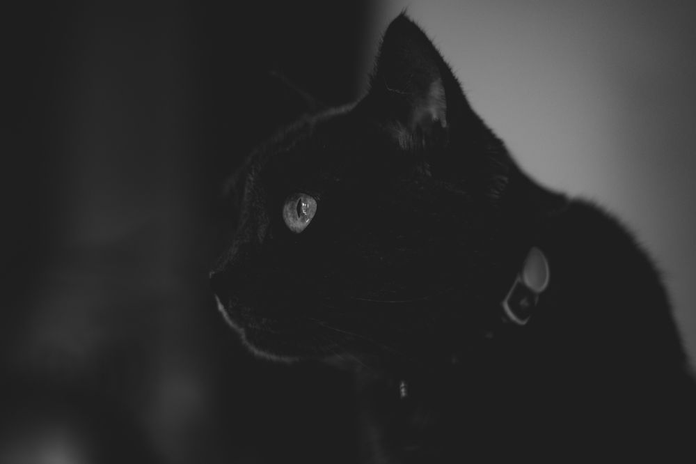 Photograph by Madalin Giurgescu