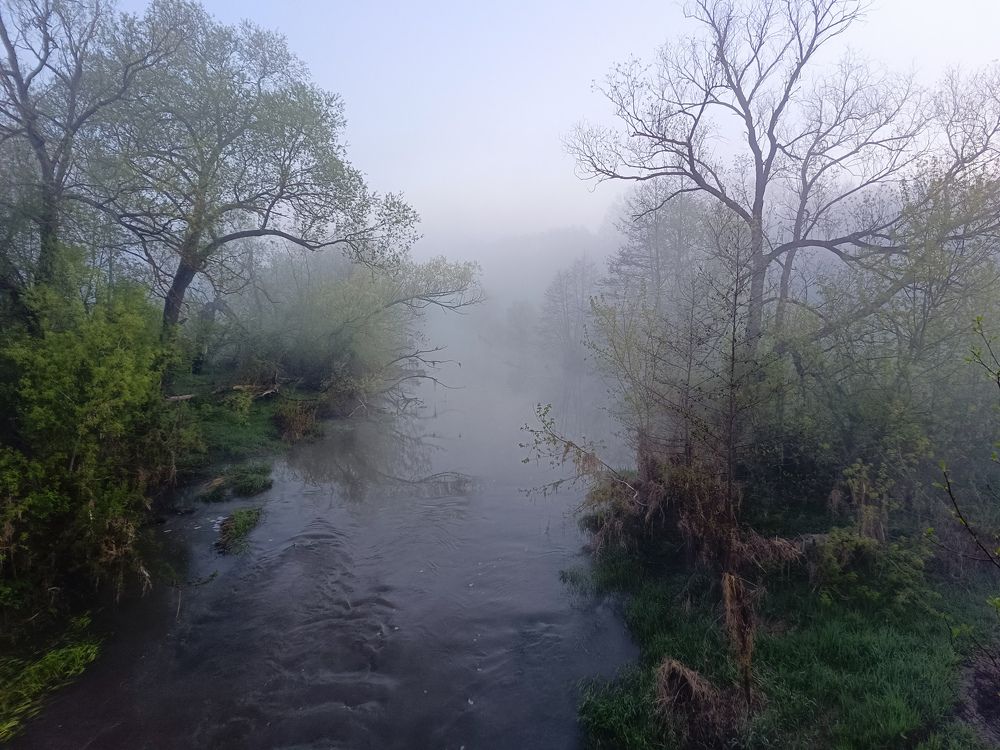 Photograph by Кондрашова Светлана