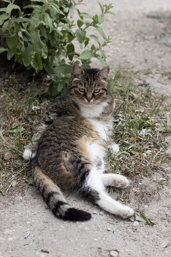 Photograph by Ксения Золотарь