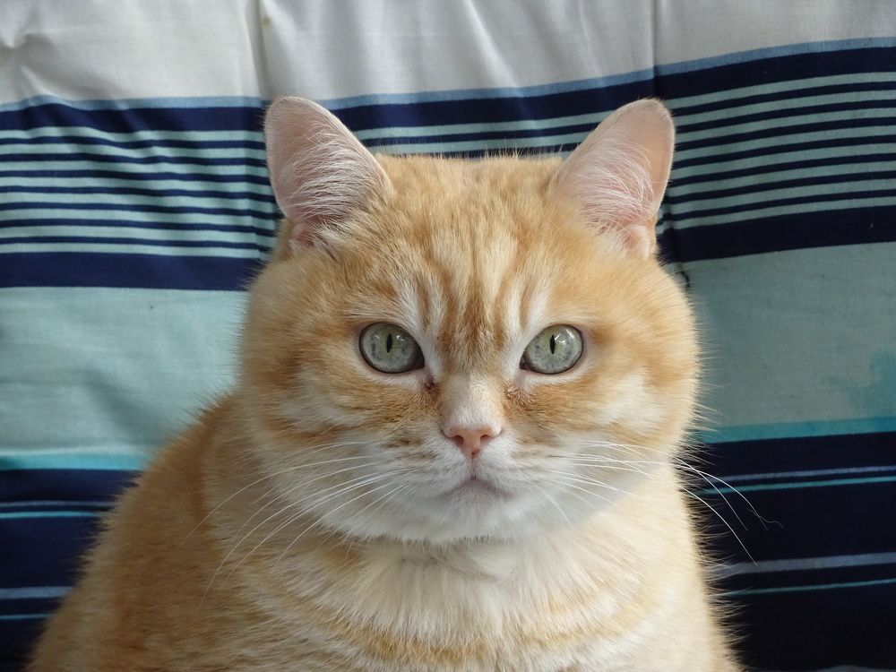 Photograph by Мила Милая