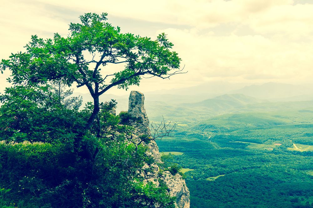 Фотография автора Вадим Коваленко