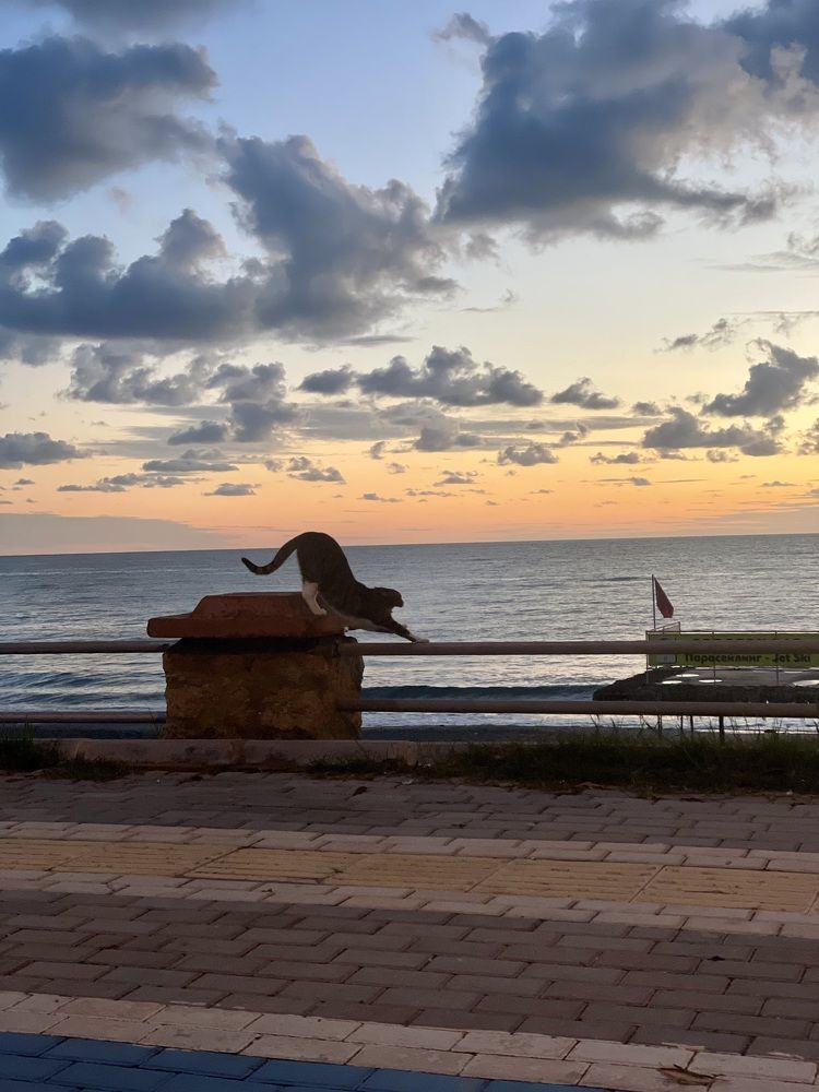 Photograph by Ирина ? 12 PRO