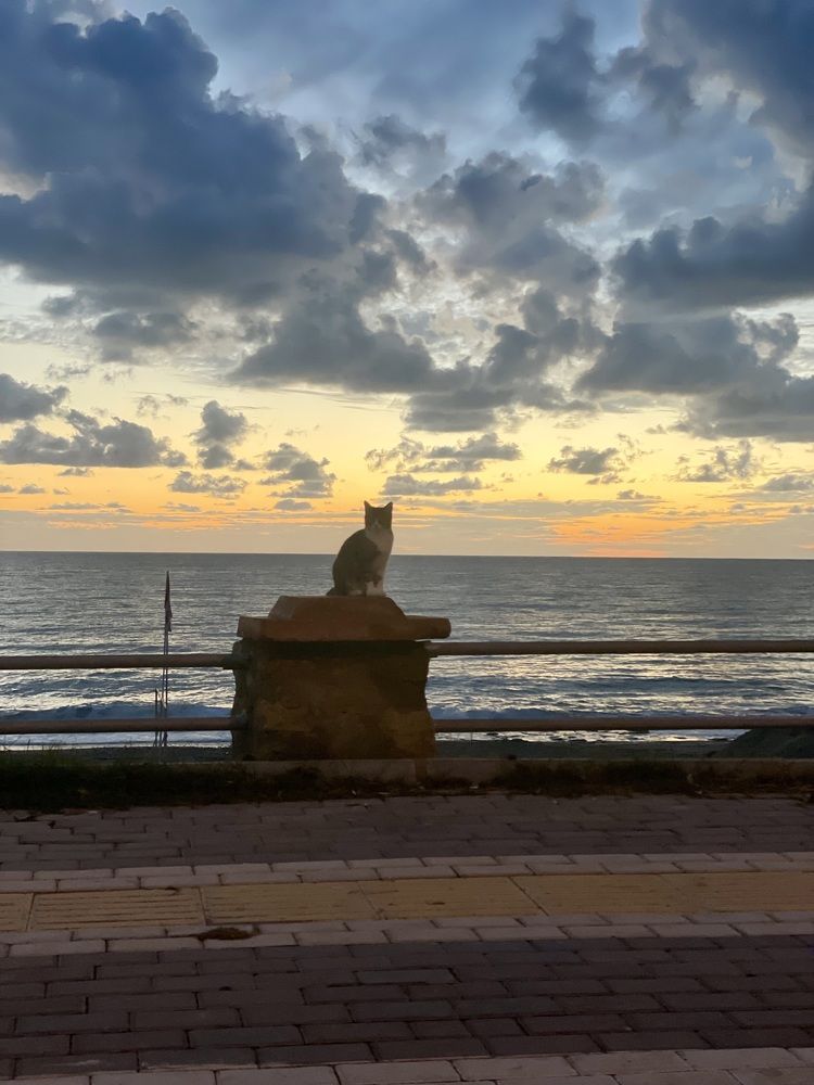 Photograph by Ирина ? 12 PRO