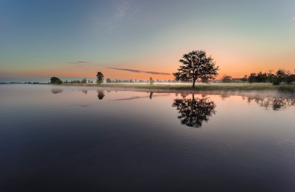 Photograph by Баранов Владимир