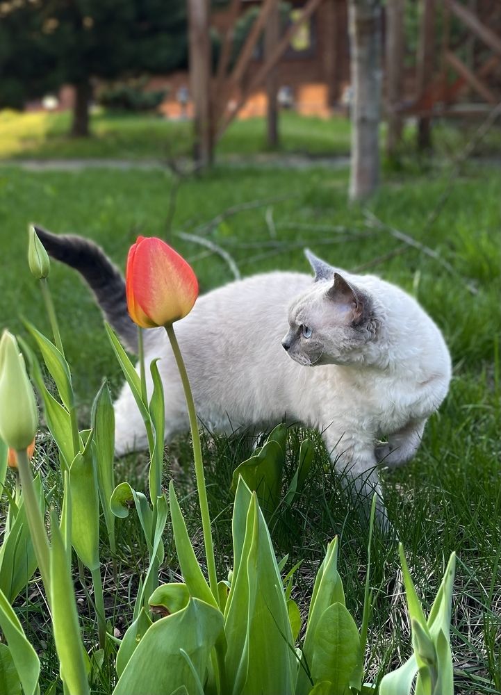 Photograph by Светлана Богомолова