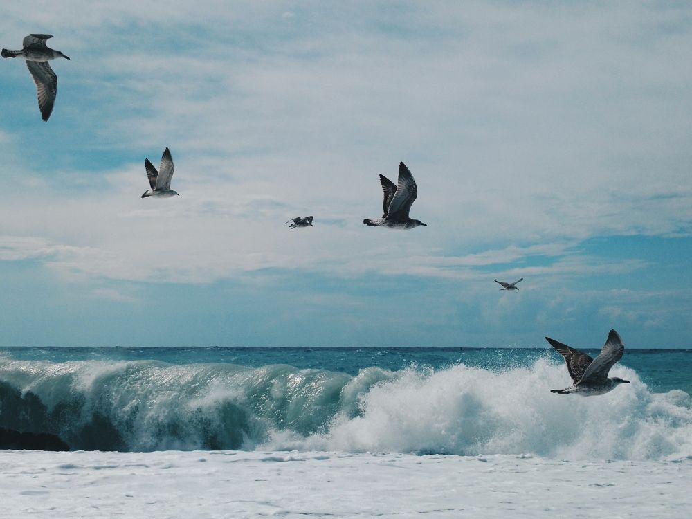 Photograph by Екатерина Кузнецова