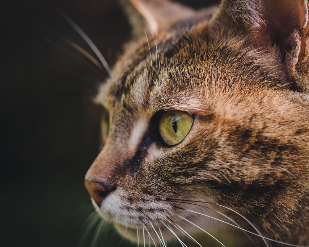 Photograph by Николай Головко