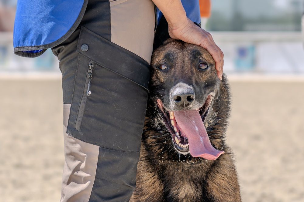 После схватки.