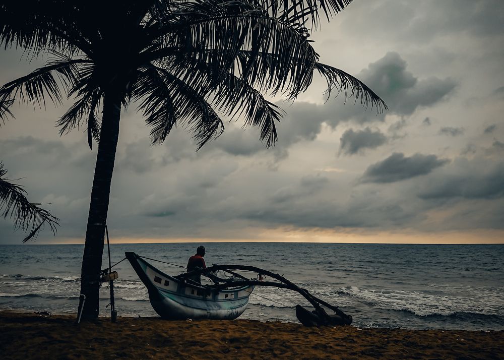 Photograph by M.Maleesha Sathsara Perera