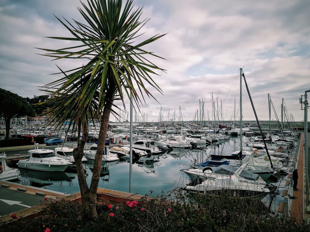 Фотография автора Екатерина Устинкина