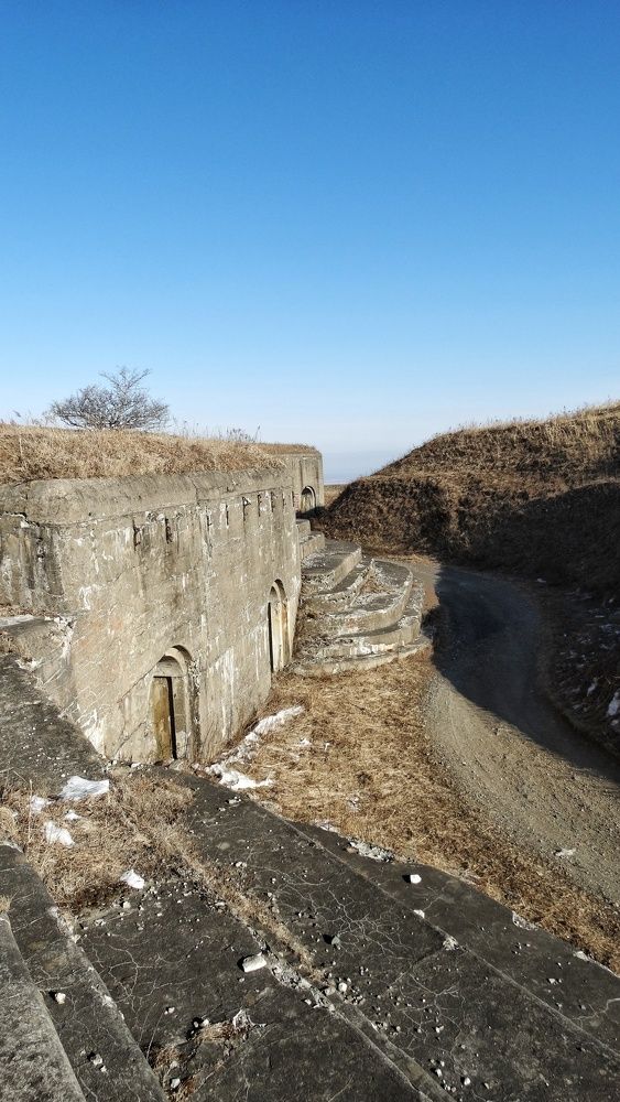 Фотография автора Вероника Жуковец