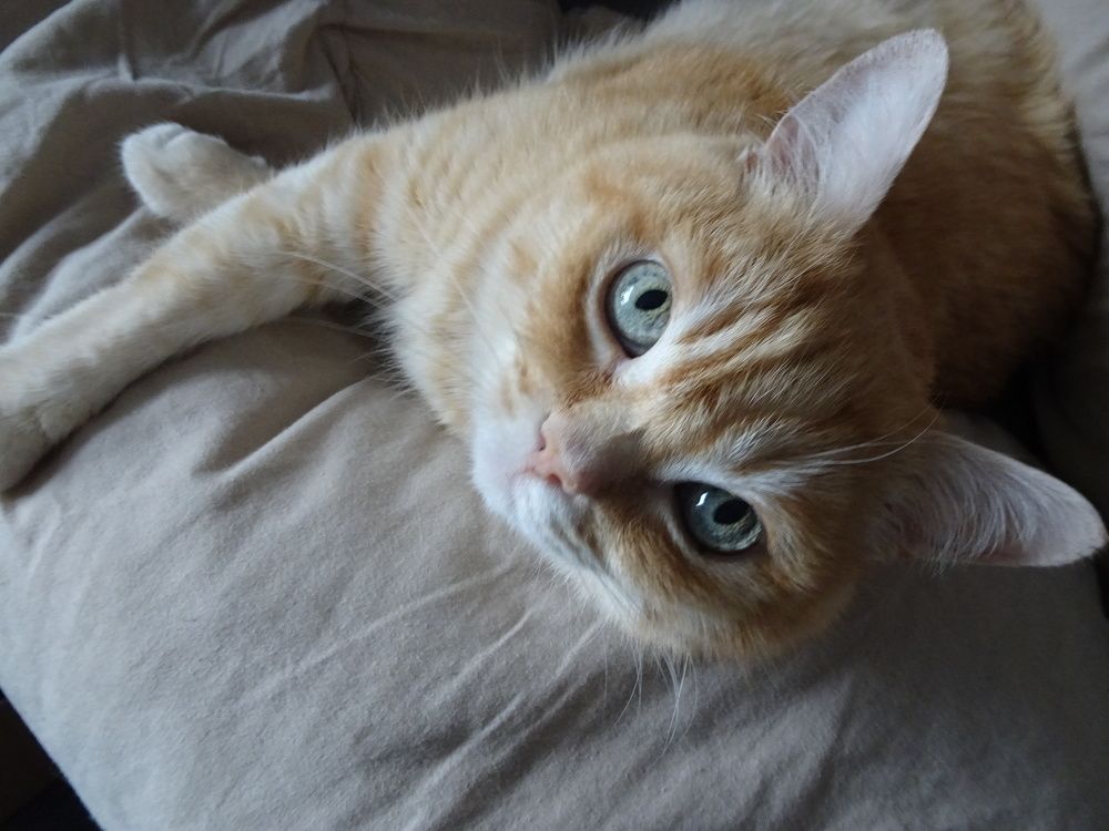 Photograph by Мила Милая