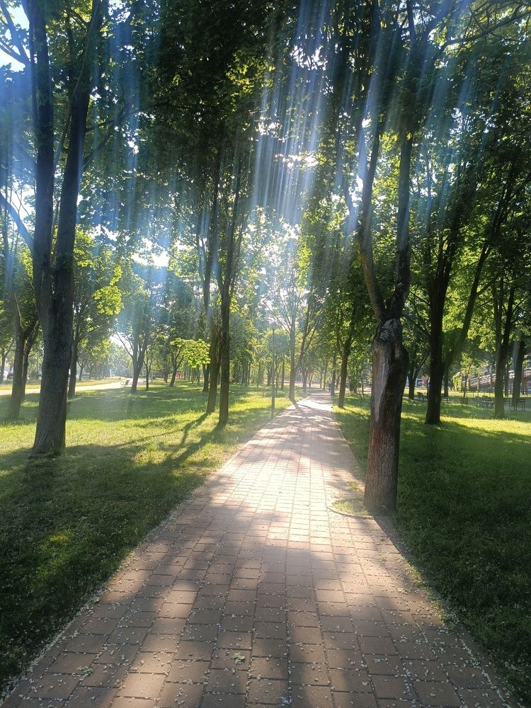 Photograph by Елена Пархоменко