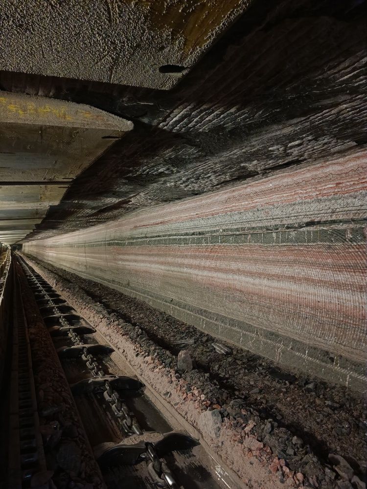 Photograph by Елена Пархоменко