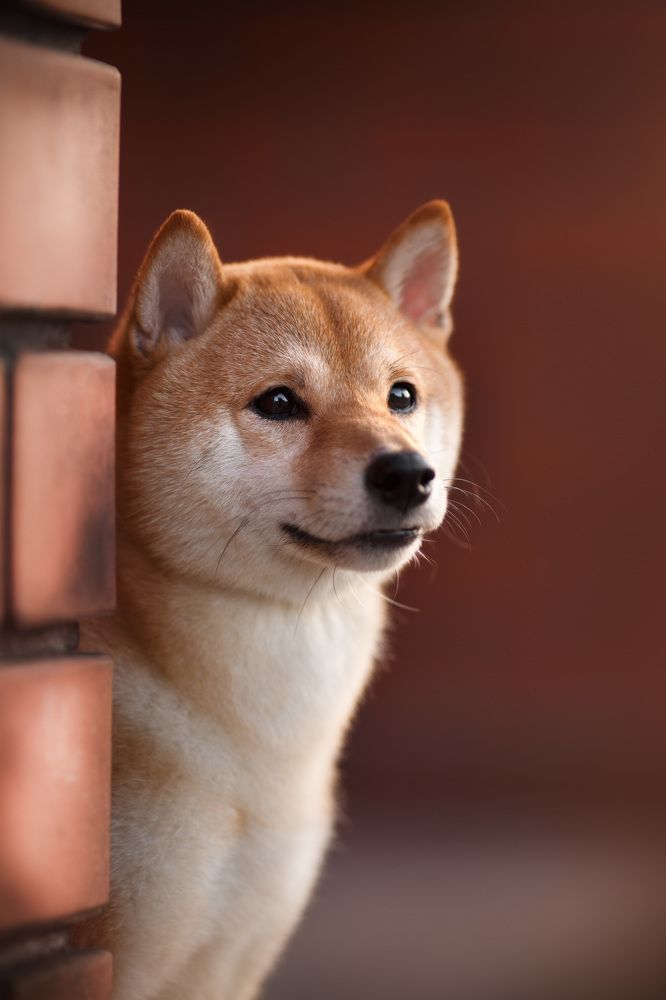 Photograph by Евгения Костусева