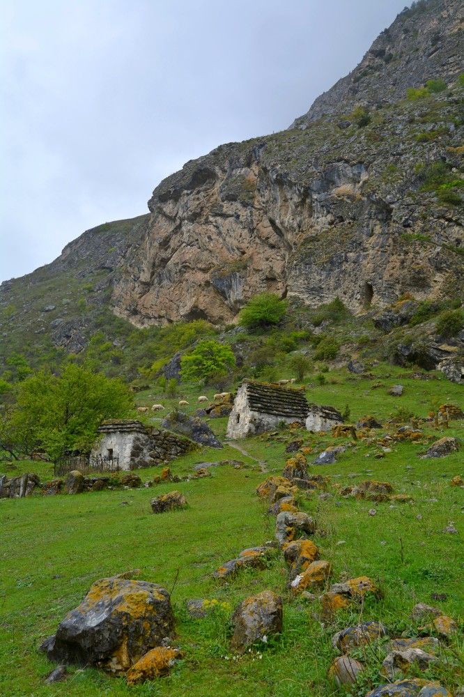 Photograph by Александр Новиков