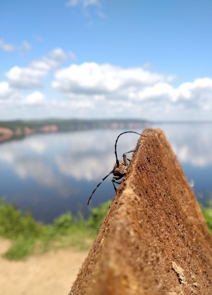 Photograph by Любовь Иванова