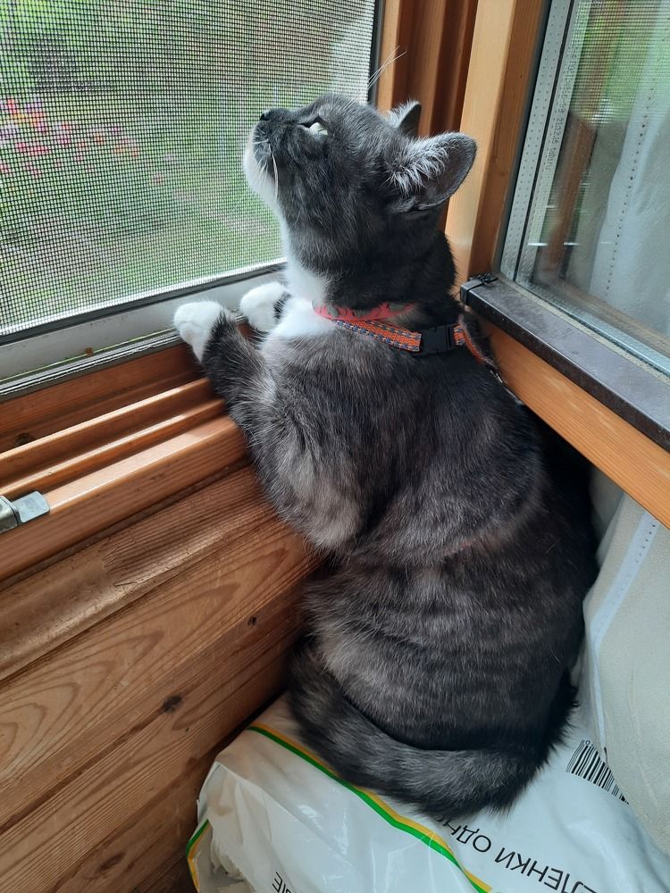 Photograph by Суетинов Евгений