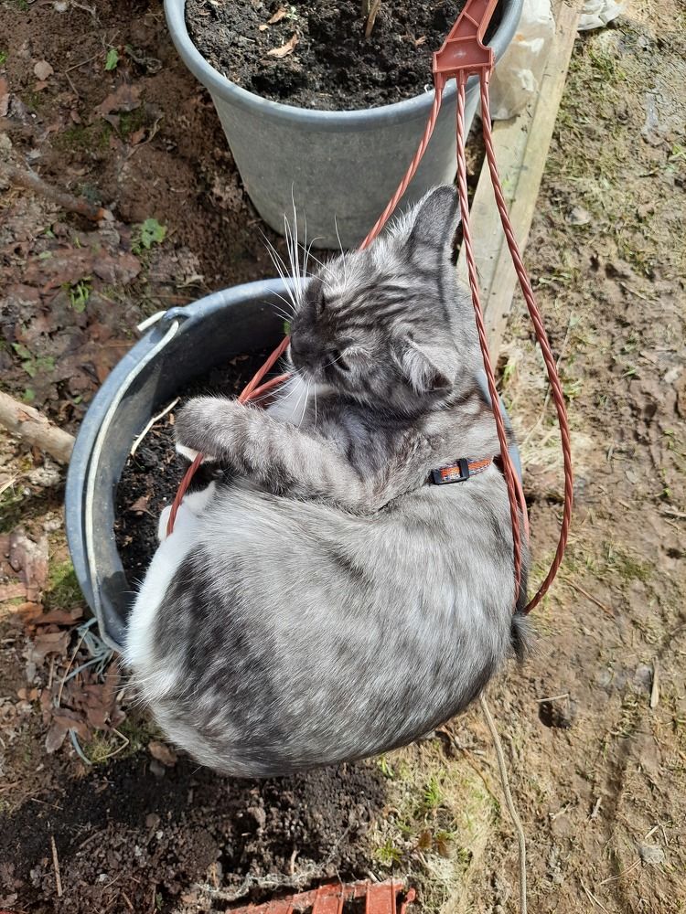 Photograph by Суетинов Евгений