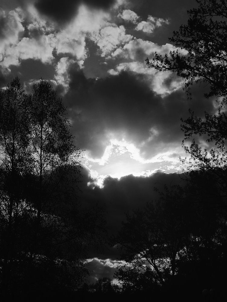 Photograph by Татьяна Гулакова