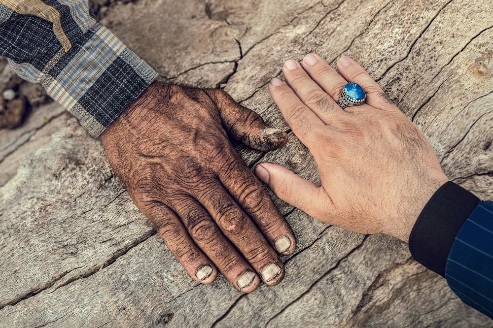 Life cycle differences