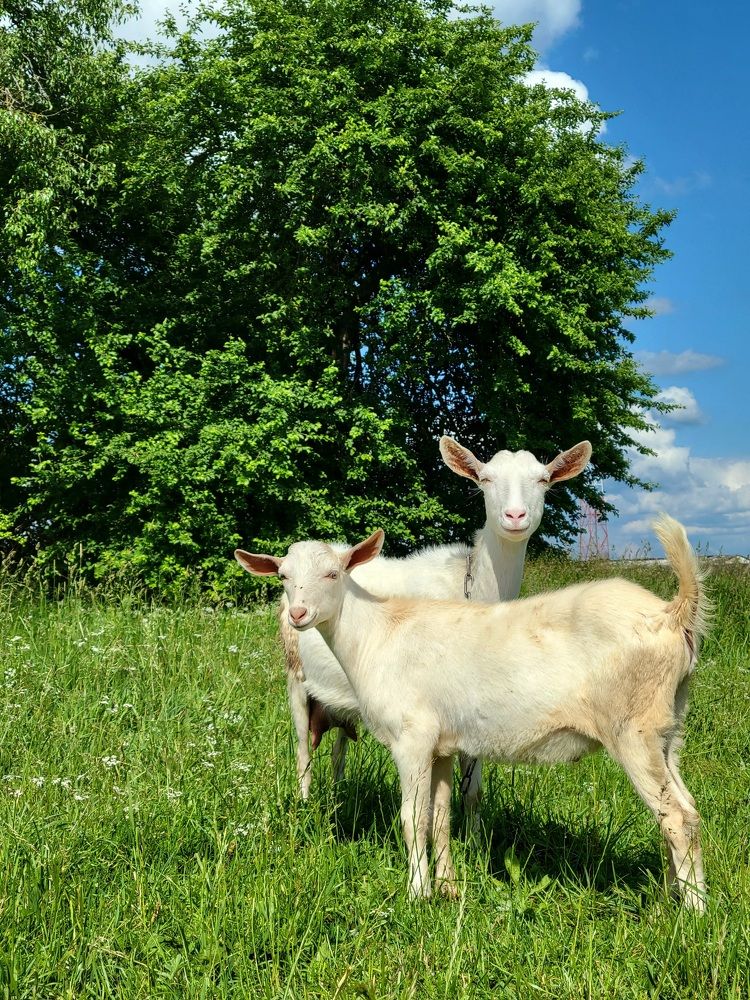 Photograph by Алина