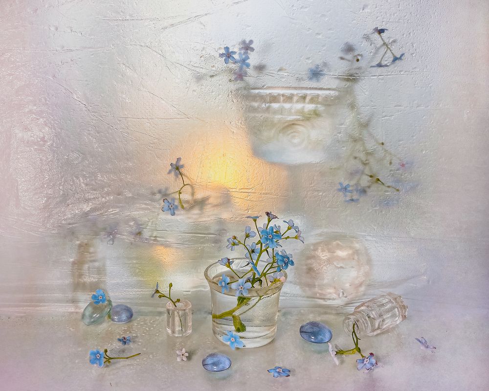 Весенние сны