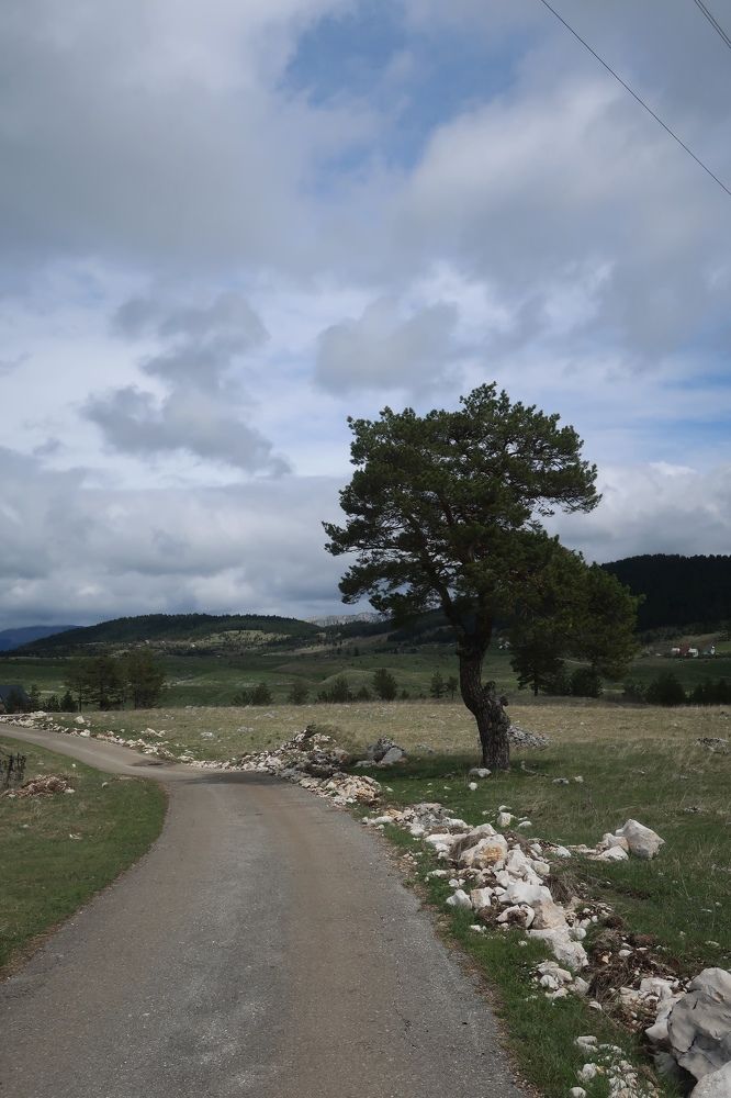 Photograph by Marianna Zakirova