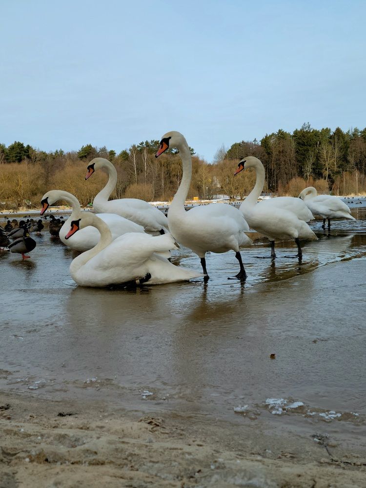 Photograph by Алина