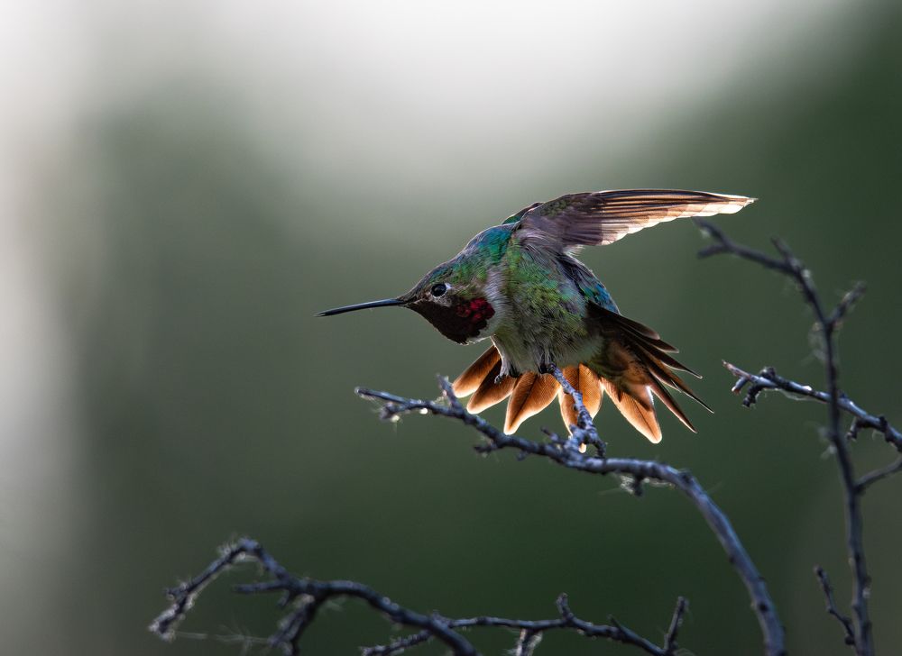 Photograph by Sam Wagner