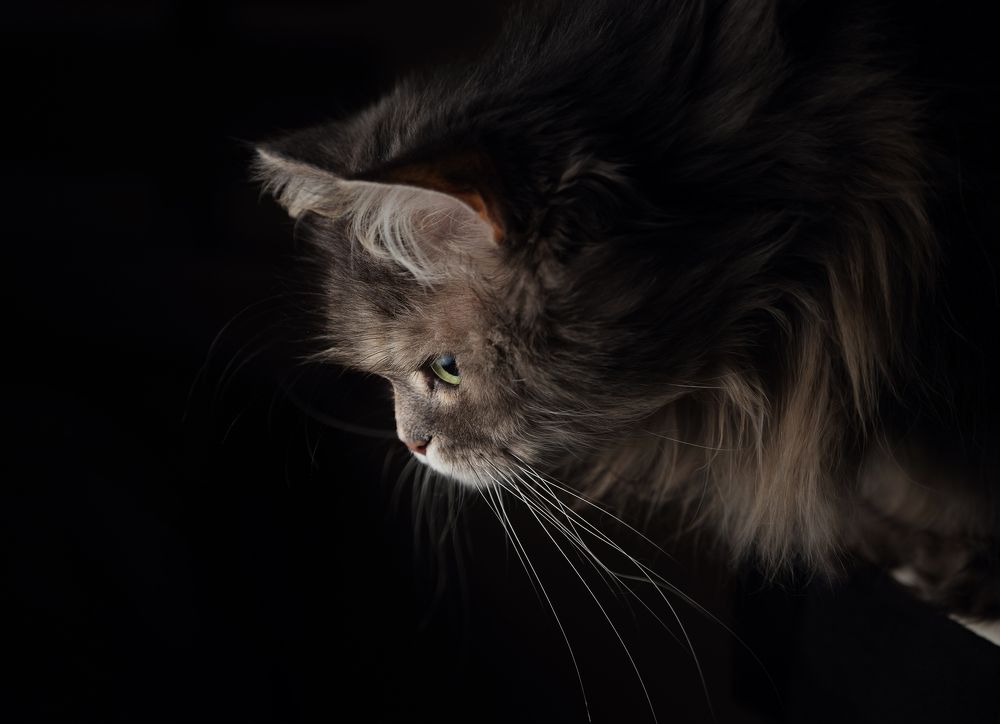 Photograph by Светлана Михеева