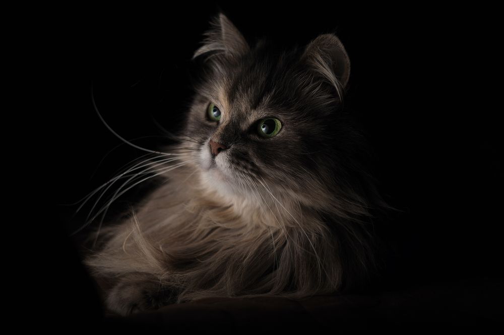 Photograph by Светлана Михеева