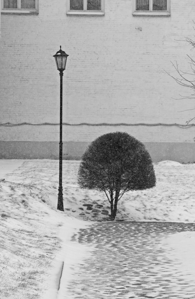 Photograph by Марина