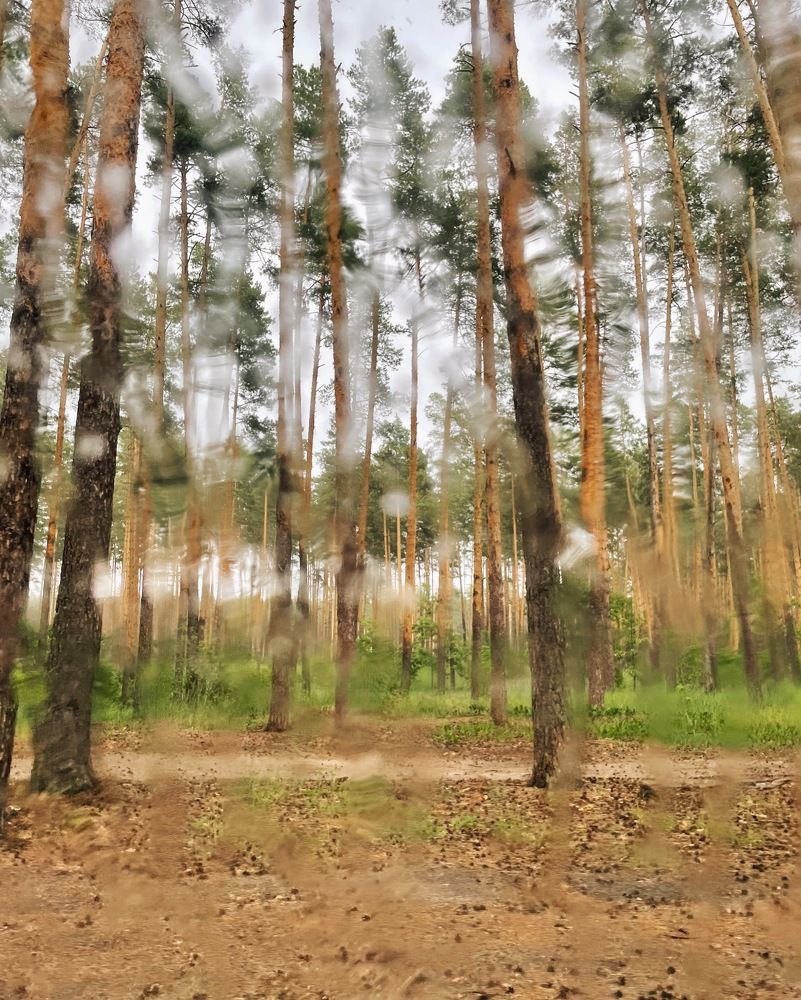 Photograph by Екатерина Кузнецова