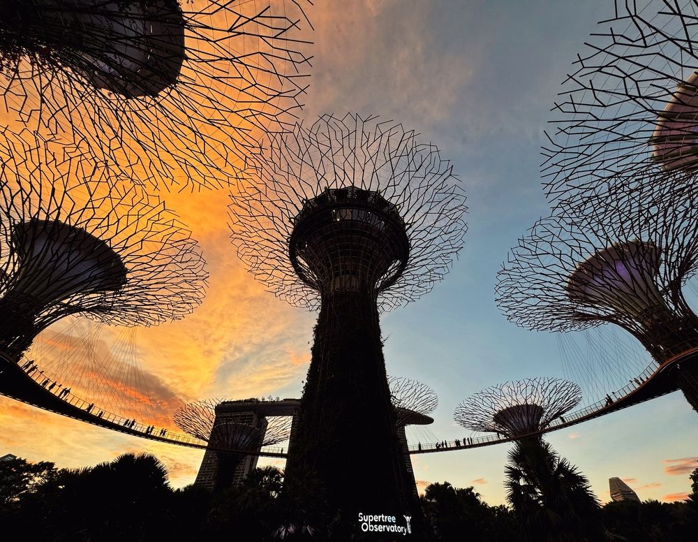 Photograph by Kedar Diwakar Mandakhalikar