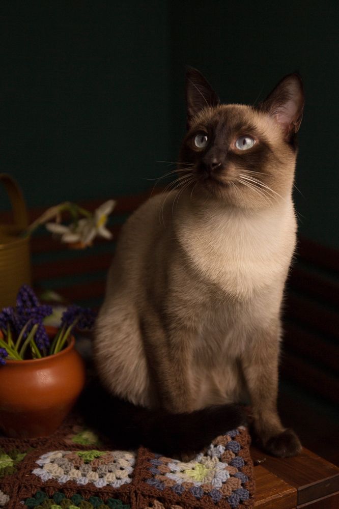 Photograph by Наталья Латыпова