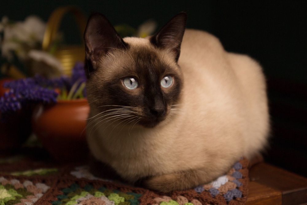 Photograph by Наталья Латыпова