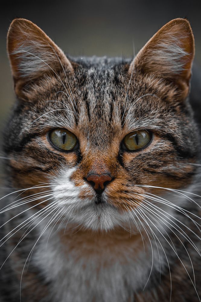 Photograph by Dmitry