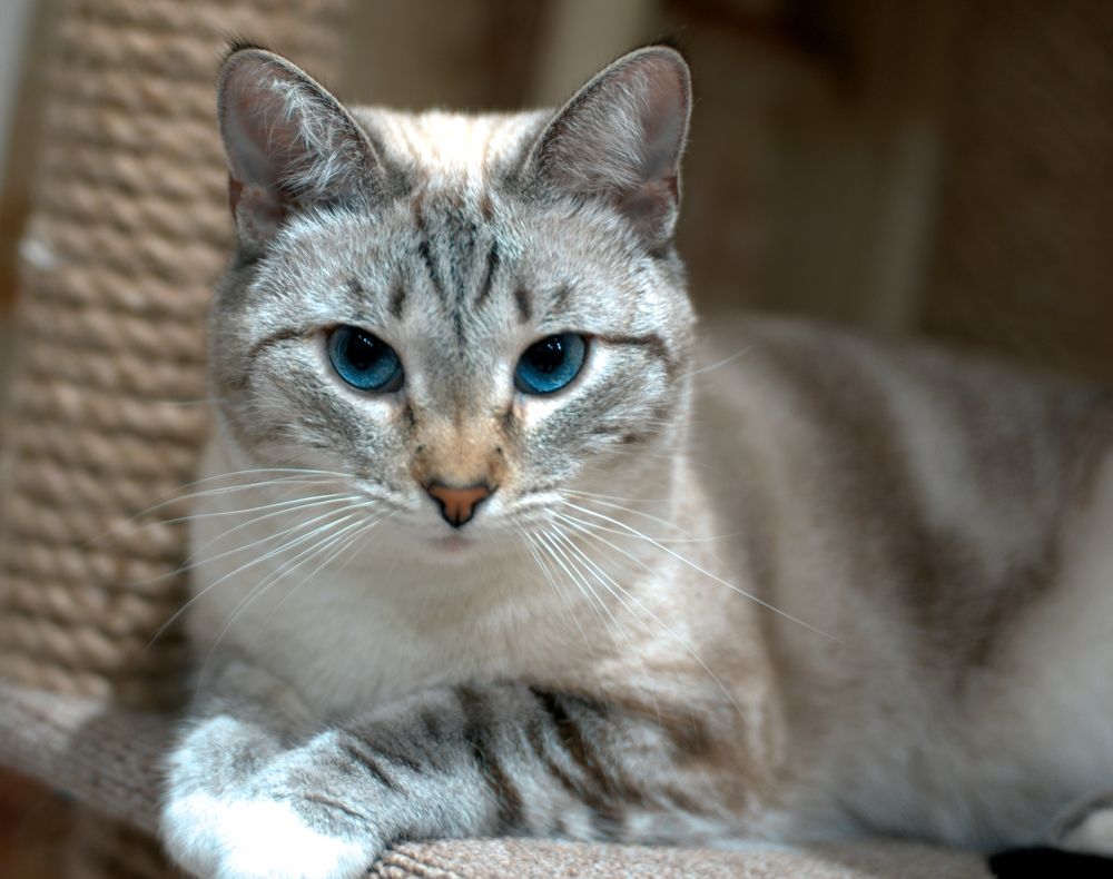 Photograph by Sergey Zhirkevich