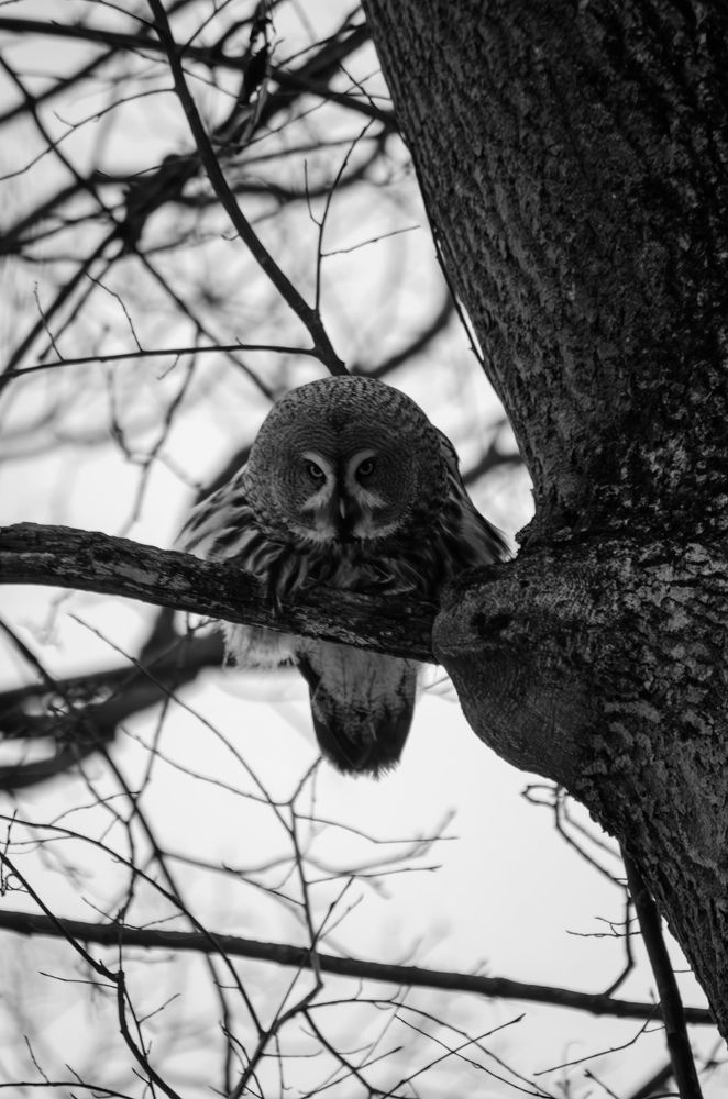 Photograph by Oksana Kuzmina