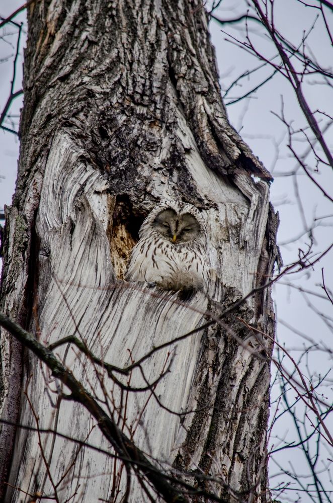 Photograph by Oksana Kuzmina