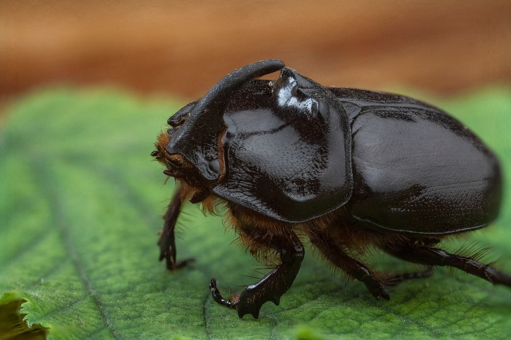 Photograph by Алексей Тимофеев