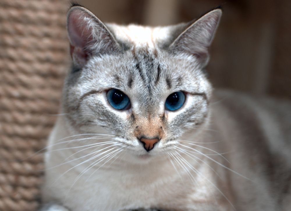 Photograph by Sergey Zhirkevich