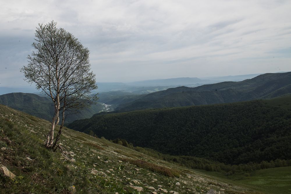 Photograph by Михаил Володин