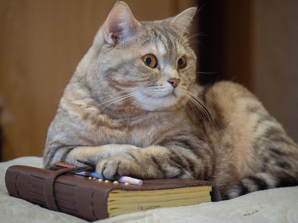 Photograph by Криволуцкий Вячеслав