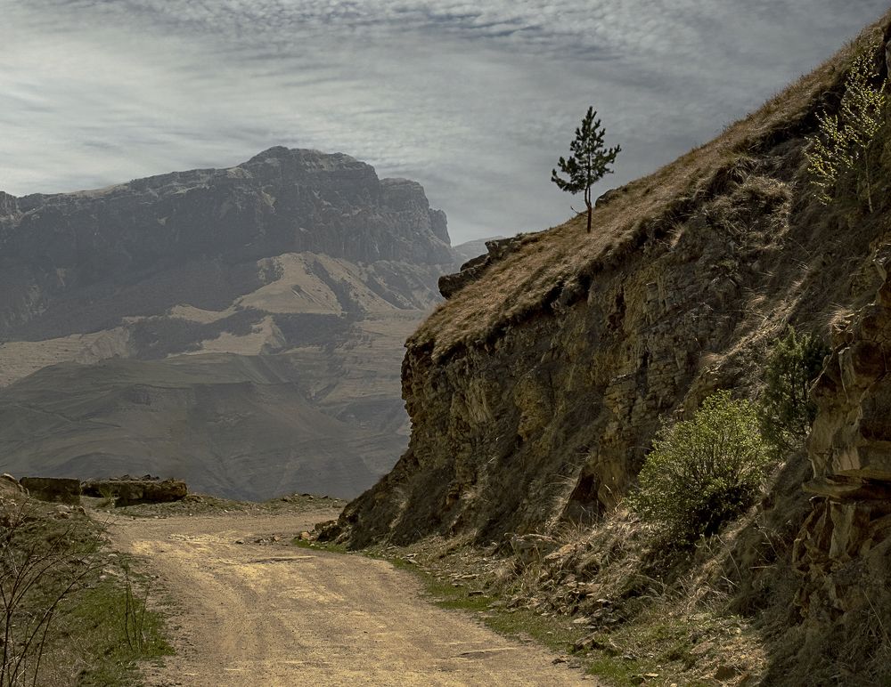 Photograph by Natalia Bolotenkova