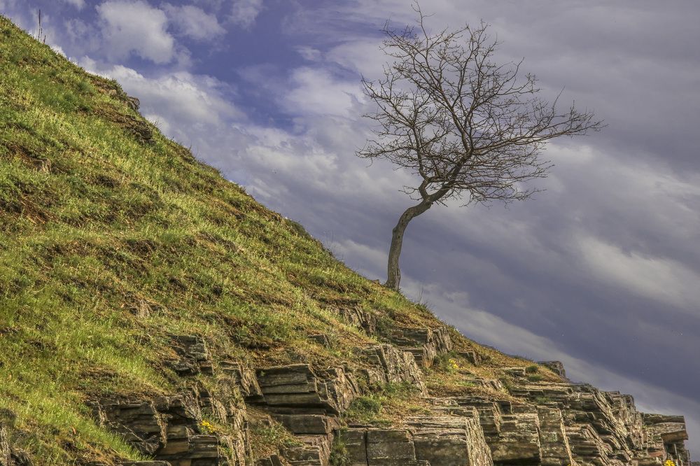 Photograph by Игорь Квочка