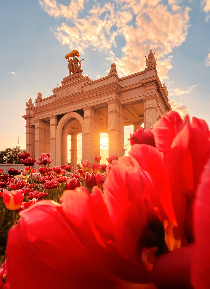 Фотография автора Анастасия Мазурева