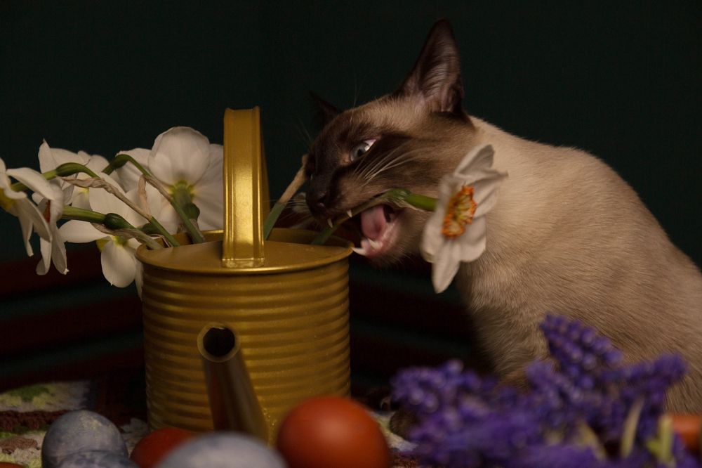 Photograph by Наталья Латыпова